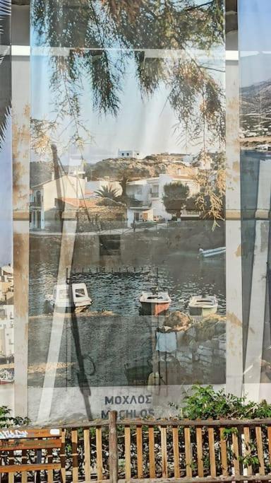 סיטייה Seashell Apartment Sea View, Castle View 200Metres From The Beach מראה חיצוני תמונה